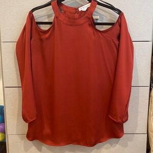 BCBG dress top